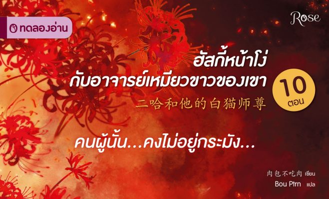 ฮัสกี้หน้าโง่กับอาจารย์เหมียวขาวของเขา ปก5