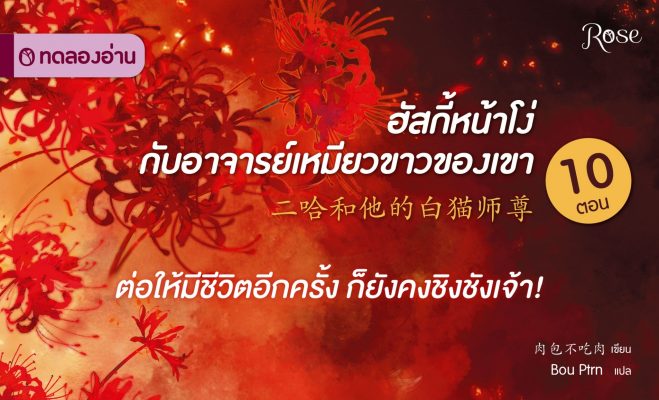 ฮัสกี้หน้าโง่กับอาจารย์เหมียวขาวของเขา ปก6