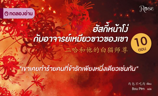 ฮัสกี้หน้าโง่กับอาจารย์เหมียวขาวของเขา ปกเว็บ