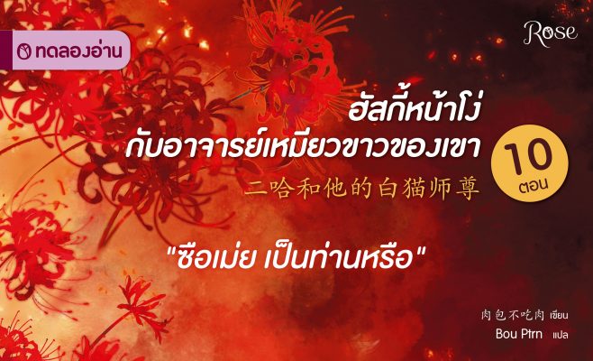 ฮัสกี้หน้าโง่กับอาจารย์เหมียวขาวของเขา ปกเว็บ3