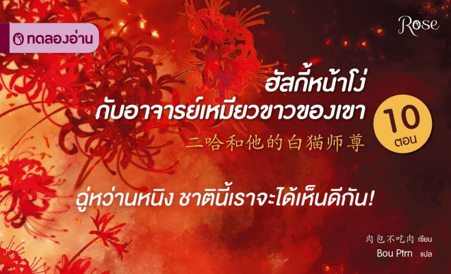 ฮัสกี้หน้าโง่กับอาจารย์เหมียวขาวของเขา ปก7